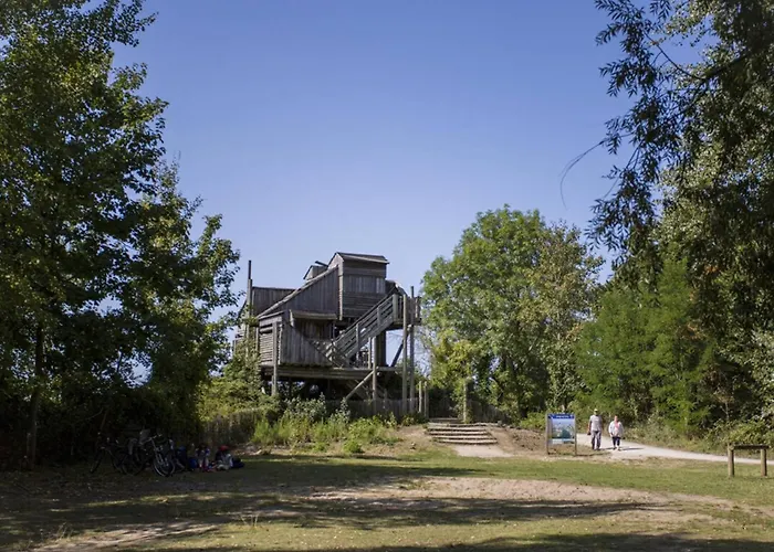 Maison Elegante Avec Jacuzzi, Confort Moderne Et Histoire A - Fr-1-788-44 Ranville